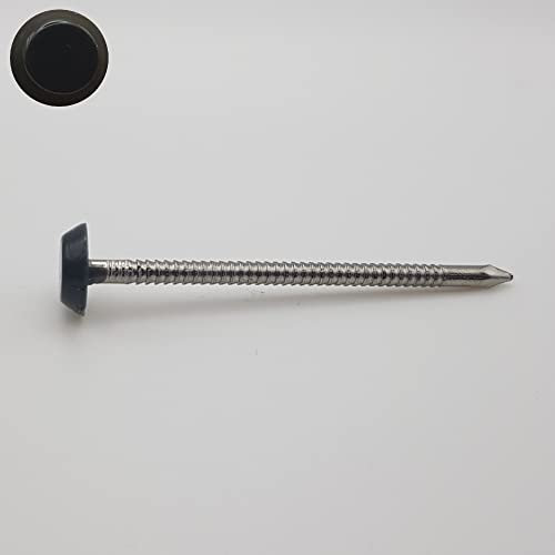 Perffixe Pointes tête RAL 7016 gris anthracite Inox A4 pour rive 50mm par 100