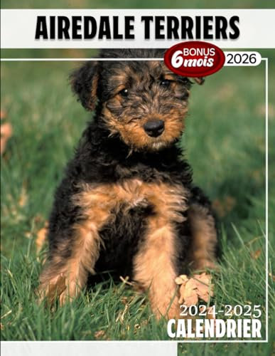 Airedale Terriers Calendrier 2024 - 2025: Calendrier sur trois ans, 30 images d'Airedale Terriers, de janvier 2024 à juin 2026, papier épais et ... des chiens, jours fériés français inclus.