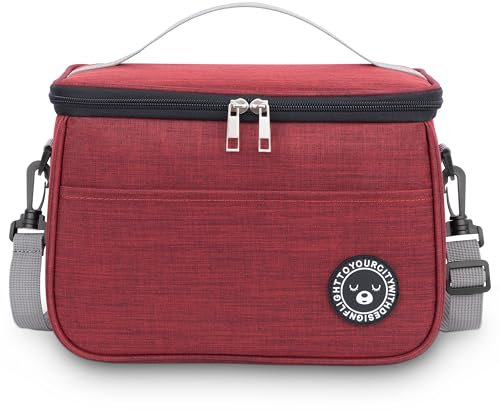 BALIGO Kühltasche 9L, Lunchbox Tasche, Lunchtasche Isoliert, Faltbar Kleine Kühltasche, Lunchbag, Lunch Tasche, Tragbar Lunchbox Tasche Arbeit Reisen Büro Picknick