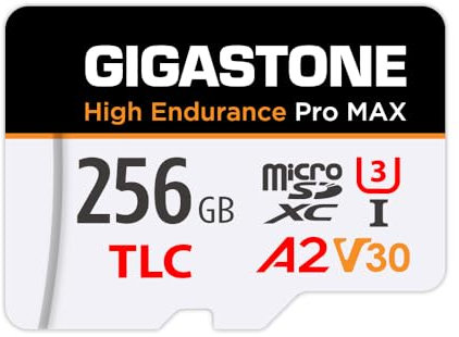 GIGASTONE 256 GB Micro-SD-Karte, hohe Ausdauer Pro MAX Serie Geschwindigkeit bis zu 160 MB/s, kompatibel mit Redtiger Rove VIOFO VANTRUE PRUVEEO Dash Cam, MicroSDXC UHS-I A2 V30 U3