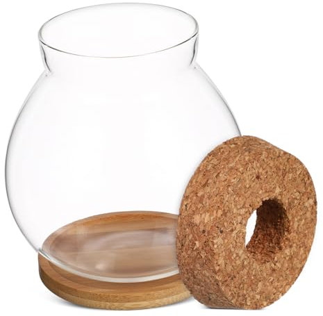 SEWOART Hydroponic Glass Fish Bowl with Lid Small Aquarium Plant Terrarium Desktop Decor with Bamboo Cushion Bamboo Mat