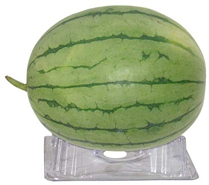 FGASAD Melonenstütze aus Kunststoff, für den Garten, Schutz für Käfige für Melonen und Squash-Stützen für Pflanzen, um Bodenfäule, Schimmel und Schmutz zu vermeiden (24 Stück)