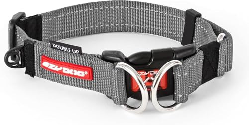 EZYDOG Double Up Dog Collar | Dog Collar Small, Medium, Large Dogs, Reflective Dog Collar, Supreme Comfort, Soft Neoprene Material, Strong Nylon Webbing (X-Large, Grey)
