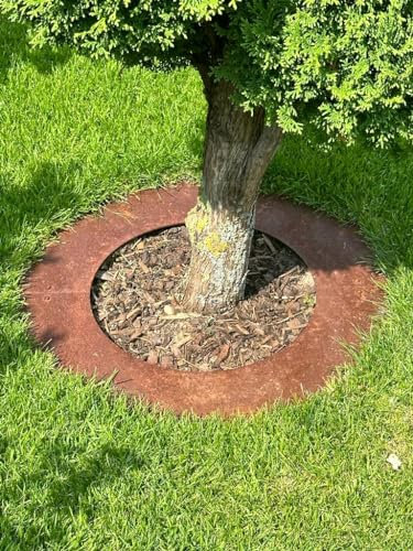 Rasenkanten Baumring FLACH aus Cortenstahl Ø 70/100 cm Mähroboter Mähkante für Bäume und Sträucher