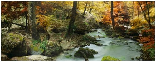 Wallario Memoboard aus Glas mit Motiv, Magnet-Tafel in 32 x 80 cm in Premium Qualität Wasserfall mit moosbedeckten Steinen im Herbstwald