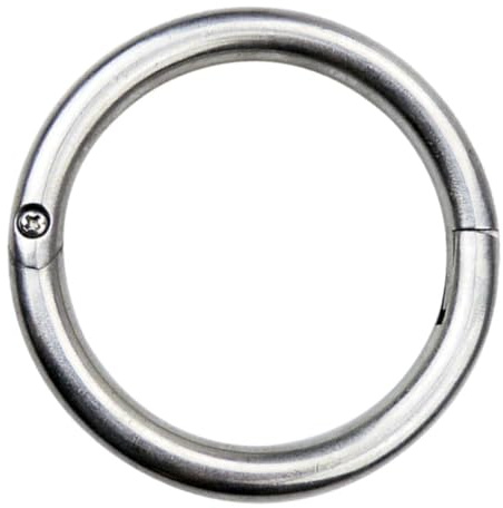 FOMIYES 1pezzi Anello Nasale per Bovini in Acciaio Inossidabile Resistente Anello di Trazione Pratico e Sicuro con Chiusura Automatica Strumento di Gestione Bestiame per Allevatori