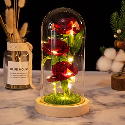 ZWMBYN Bella e la bestia Rose regalo di San Valentino per lei, rosa illuminata in vetro, fiore artificiale regalo da donna per compleanno, anniversario, festa della mamma
