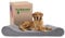 Furhaven Orthopädisches Hundebett für große Hunde mit abnehmbarem, waschbarem Bezug, für Hunde bis zu 34 kg, Mikrosamt-Luxe-Liege, Konturmatratze, Grau, Jumbo/XL