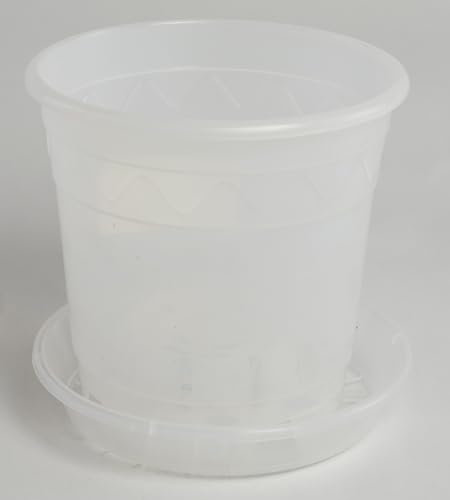 Vaso per orchidee lattiginoso con sottovaso abbinato, disponibile in diverse misure, colore: trasparente, diametro: 16 cm