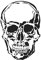 Ideen mit Herz Laser-Kunststoff-Schablone, DIN A4 | perfekt geeignet für Textilgestaltung, Wandgestaltung, Fenster, Papier, Scrapbooking, Kinder, Basteln, DIY (Totenkopf/Skull)
