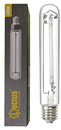 Lucius Ampoule 600 W HPS haute pression de sodium - pour croissance et floraison
