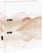 Clairefontaine 115973C - Evanescence, Ordner für DIN A4-Blätter, 21 x 29,7 cm, Rücken 7 cm, 1 Stück