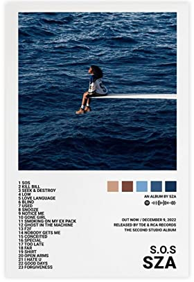 RIPEX SZA Poster Sos Poster Album Cover Poster Leinwand Poster Schlafzimmer Dekor Sport Landschaft Büro Zimmer Dekor Geschenk Rahmen Stil 30 x 45 cm