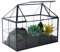 byepica Terrario de cristal geométrico transparente con tapa, maceta hecha a mano para suculentas, cactus, plantas de aire, perfecto para decoración del hogar y la oficina