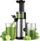 KIDISLE Compact Juicer Powerful Cold Press Juicer High Juice Yield Juicer Machines Easy to Clean Professional Slow Masticating Juicers for Fruits and Vegetables Reverse Function 600ml Cup Brush