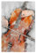 artboxONE Poster 30x20 cm Menschen Playing Cello (matart) - Bild Cello Cello Instrument
