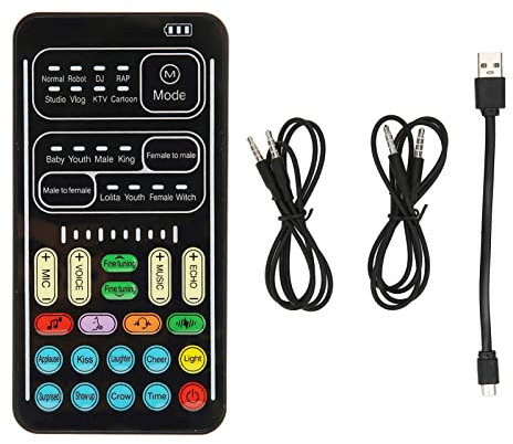 Ensemble de Changeur de Voix Portable avec 8 Effets Sonores, Mini Carte Son Portable pour Téléphone Portable, Ordinateur, Tablette, Batterie 450 MAh, Plug and Play, Idéal pour
