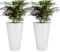 Mypicompany. Maceteros Decorativos Interior y Maceteros Grandes Exterior - 2X Macetas Grandes Blancas (50 cm)+2 Platos. Macetas Plastico con Drenaje - Tiestos para Plantas, Jardín, Terraza y Balcón