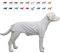 Lovelonglong Pet Clothing Dog Costumes Basic Blank T-Shirt Tee Shirts for Medium Large Dogs White XXXL