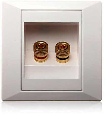 Reapyyt mur prise murale porte connexion socket avec 2 Banana Jack Speaker