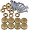SHANOER 8 Pcs 16mm Dia Brass Mirror Screws with Decorative Cap Cover Nails,Golden Finish (Cap Diameter 9.3mm)