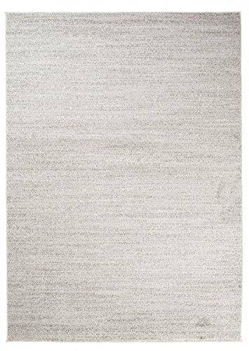 Carpeto Groß Teppich Wohnzimmer 220x320cm Anthrazit Grau Einfarbig Weich | Teppich für Schlafzimmer Büro Esszimmer Eingangsbereich Pflegeleicht Fußbodenheizungsgeeignet Kurzflor Minimalistisch
