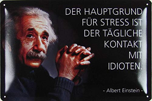 Blechschild 20x30cm gewölbt Der Hauptgrund für Stress Zitat Einstein Spruch Deko Geschenk Schild