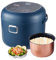 Olla de arroz, cocina de arroz de coche de 200 W, arroz cocina capacidad 2 L, olla de arroz eléctrica portátil multifuncional, mantiene caliente, recipiente antiadherente, para coche 12 V 24 V 220 V