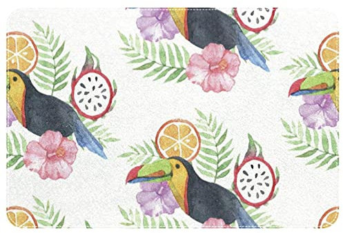 Schmutzfangmatte 40X60cm Aquarell Tukane Tropische Frucht Blume Drachenfrucht Fußmatten Waschbar Fussmatte Antibakterielle Carpet Für Küche Innen Schlafzimmer