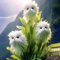 Worparsen 100 Stcs Katzenorchideensamen zum Pflanzen seltener Katzengesichtsorchideensamen Nicht-Gentechnik-Blumen Samen für Gartenblumentöpfe im Freien B