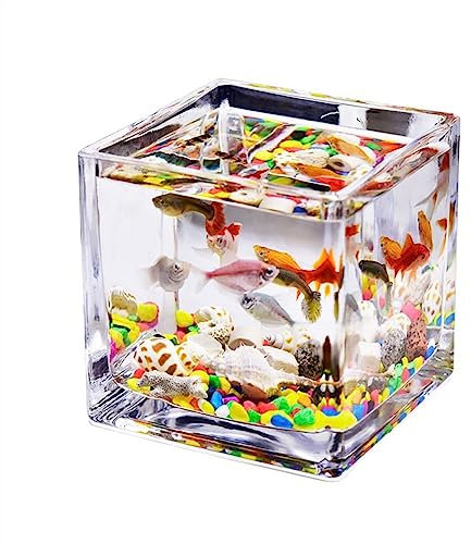 XXAD553TY Bocal Poisson Aquarium en Verre carré épais Transparent, comptoir, Petit réservoir Domestique for Aquariums, réservoir de Tortue écologique Terrarium(Petit)