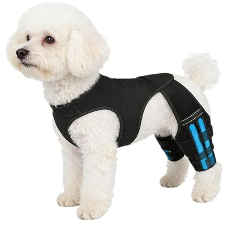 Bein Orthese Hund - Kniebandage Für Hunde Hinten, Verstellbare Knie Manschette Mit 4 Metall Stabilisatoren, Hüftbandage Für Hunde, Für Spaziergänge, Wanderungen, Training, Outdoor Aktivitäten, Park