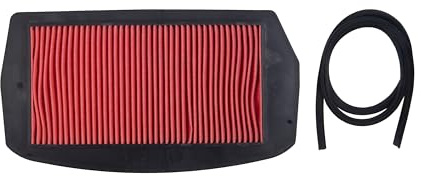 MOTOMASTER Filtro Aria Moto Compatibile con Yamaha FZ6 N/S / 5VX-14451-00