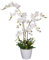 Lacers SmagragdLine Pflegeleichte Orchidee mit Topf weiß 60cm - dekorative Kunstpflanze für Wohnzimmer, Büro & Balkon - lebendige Farben, pflegeleicht, naturgetreue Optik, Dekopflanzen