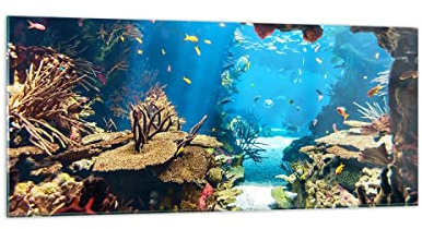 Wandbilder Dekoration Wohnzimmer Ozean Riff Fische Koralle Panorama Bilder auf Glas 120x50cm Glasbild Schlafzimmer Küche Wand Kunstdruck Art Groß Wanddeko Bild im Glas Modern Wall Decor GAB120x50-2872