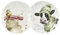 Coupe Teller S/2 (Duck & Donkey)