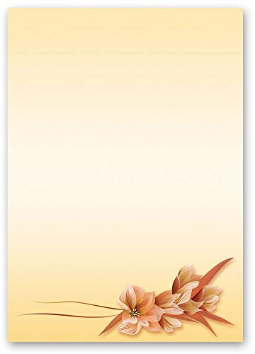 Motivpapier BLÜTENBLÄTTER Blumen & Blüten - DIN A5 Format 250 Blatt - Paper-Media