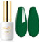 Imtiti Gel Nail Polish, 0.5 Fl Oz Emerald Green LED U V Nail Gel Polish DIY Nail Art Starter Manicure Salon Kit for Women Girls