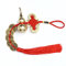 YANGWEN 2 Stück Chinesischer Knoten Glücksmünzen, Feng Shui Münzen I-Ching-Glücksmünze mit Calabash Wu Lou Anhänger für gutes Glück und gesundes