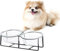 Glass Cat Bowl - Elevated Cat Dog Bowl with Metal Stand for Water and Food - Tilted and Raised Pet Dish for Cats and Small Size Dogs - Microwave and Dishwasher Safe 16.9 oz