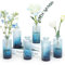 Lot de 6 Vases Verre, Vase en Verre Bleu,Vases en Verre Transparent Vintage,Centre de Table Mariage, Bouteille Vintage pour décoration de TableVases à Fleurs Transparent pour Petites Réceptions