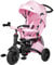 HyperMotion Kinderdreirad Tobi Velar mit Schubstange - Drehbarer Komfort-Sitz, Sicherheitsgurte, Faltbar, Gepumpte Räder, Elterngriff, Regenmantel - 9 Monate bis 5 Jahre, Pink