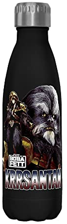 Star Wars Questions Later 17 oz Stainless Steel Water Bottle, 17 Ounce, Multicolored