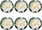 Wyjuan 6Pcs White Artificial Lotus Flowers Large Floating Lotus Flowers Faux Artificial Plants with Artificial Lily Pads Water Lily Fish Pond