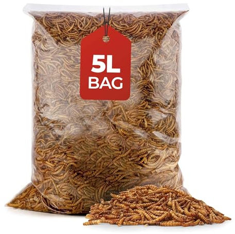 Beewarm Premium Wild Bird Food – Meal Worms for Garden Birds – High Energy, No Mess Bird Feed (5L Bag, Mealworms)