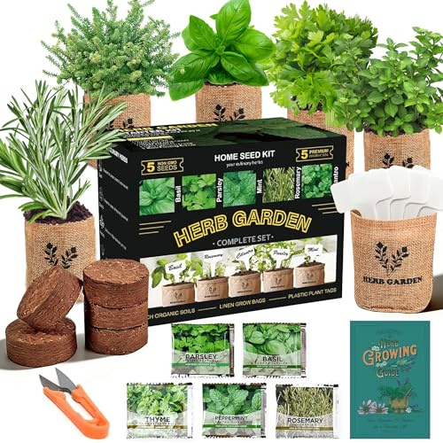 Meekear Kit de démarrage 5 herbes d'intérieur - Kit complet de plantation pour cuisine, jardin d'herbes aromatiques, bricolage et cadeau
