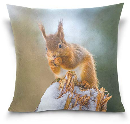 Linomo Kissenbezug 40x40 cm, Süß Tier Eichhörnchen Dekorative Kissenbezug Kissenhülle für Couch Sofa Bett Hause