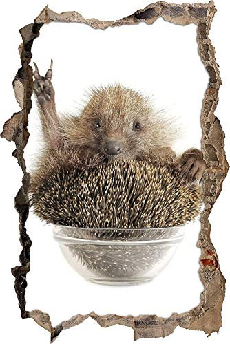 Wandtattoo lustiger Igel Wandsticker Wandaufkleber 3D-Effekt Durchbruch für Babyzimmer Kinderzimmer 53x80cm