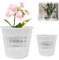 Macetas de plástico transparente, macetas de orquídeas con agujeros, macetas de orquídeas transparentes, maceta de orquídea transparente con agujeros de drenaje, macetas de orquídeas para trasplantar,
