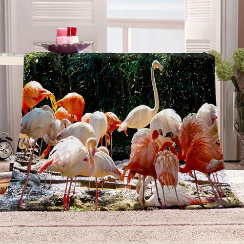 KQYLBM Flamingo Decke Herbst 130 X 150 cm Kuscheldecke Flauschig Fleece Decke Kinderdecke